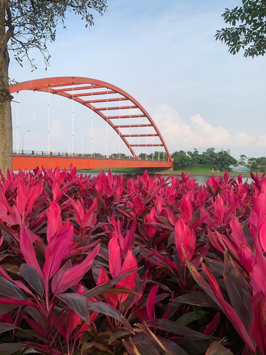 花叢與紅色拱橋