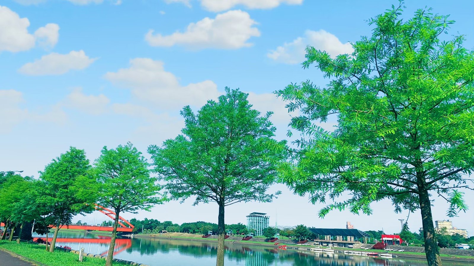 河岸綠樹與步道